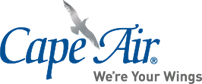 Cape Air logo