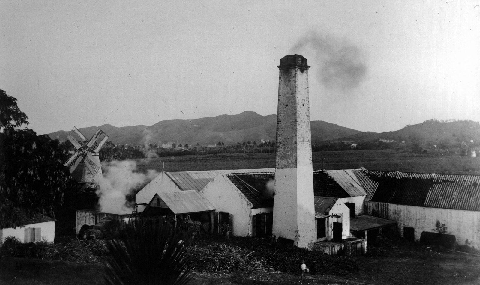 Sugar works at St. Croix. (9471640030)