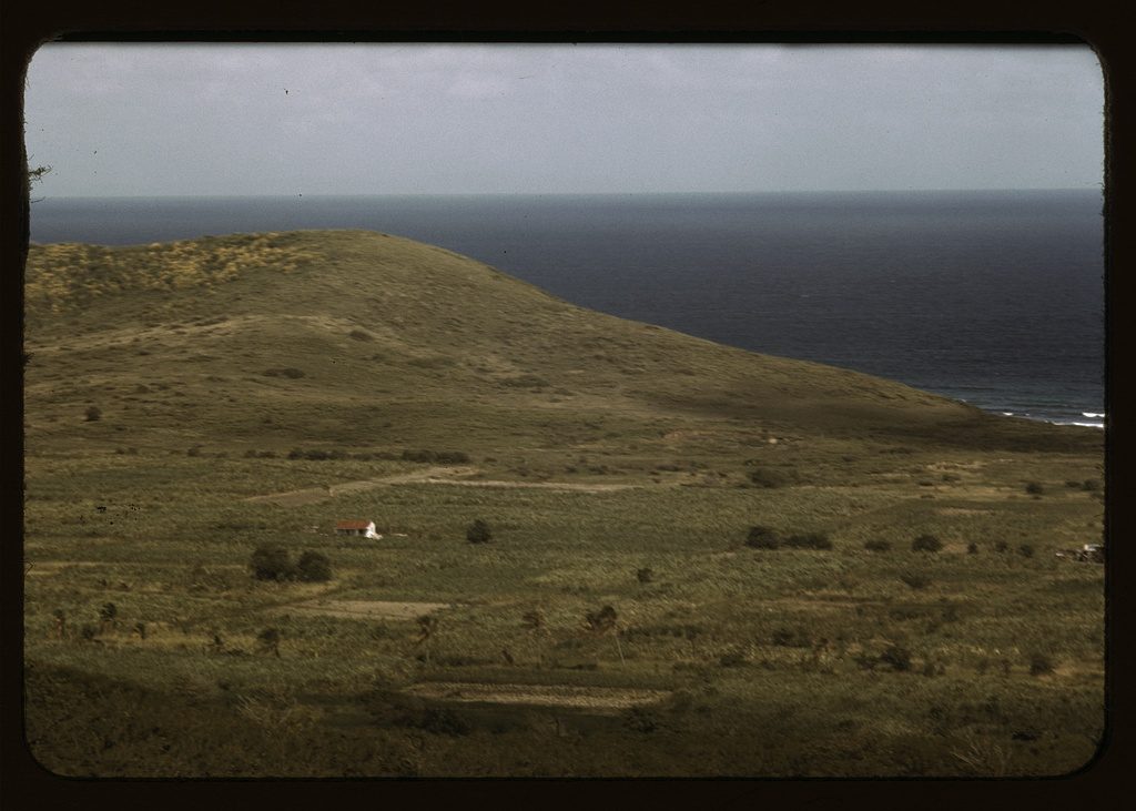 Sugar farms along the northern coast 1a33943v