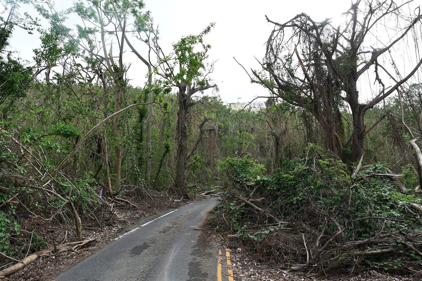 FEMA - DR4340 364 - Debris Remains in Roadways in St. Croix