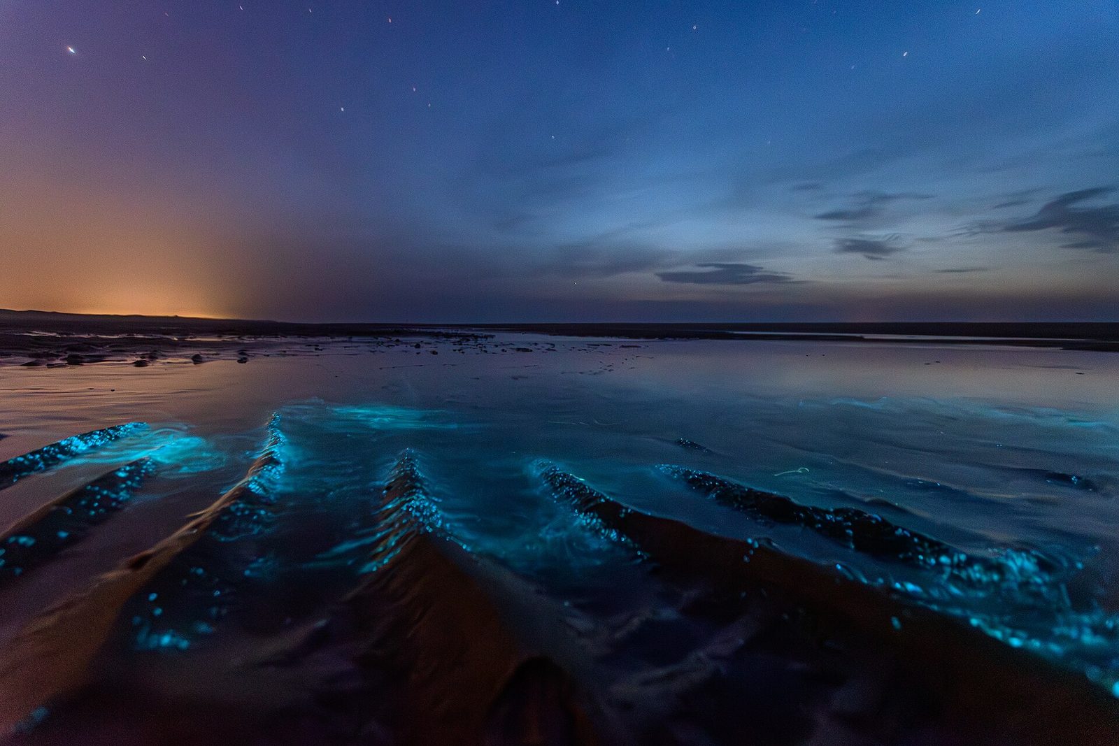 Meeresleuchten auf Norderney 01