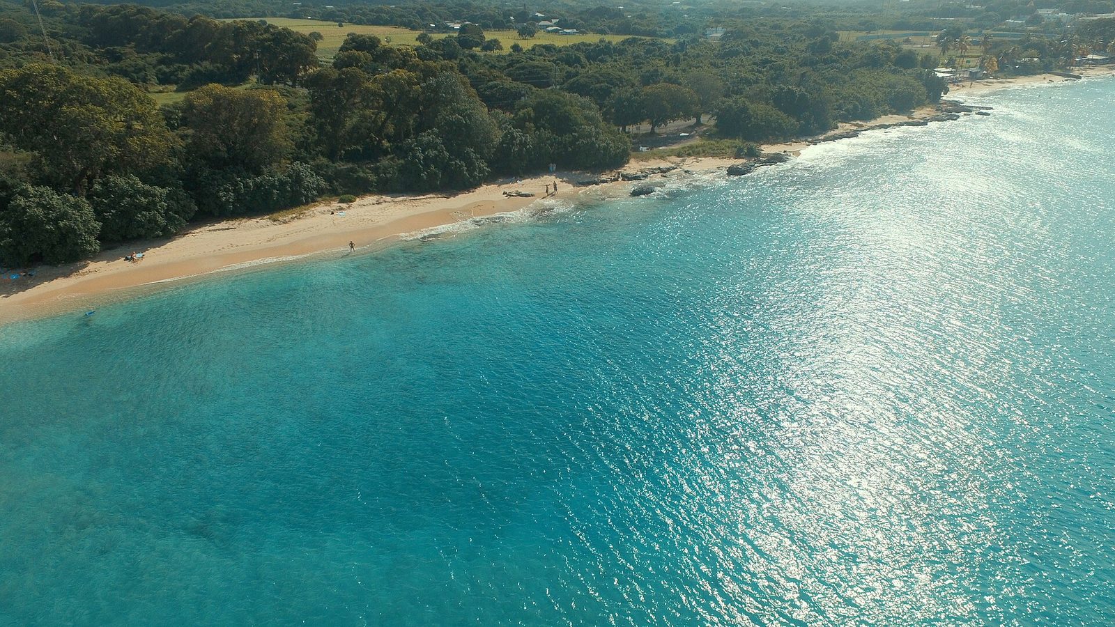 Waves break along the wild north shore near Monk's Bath.