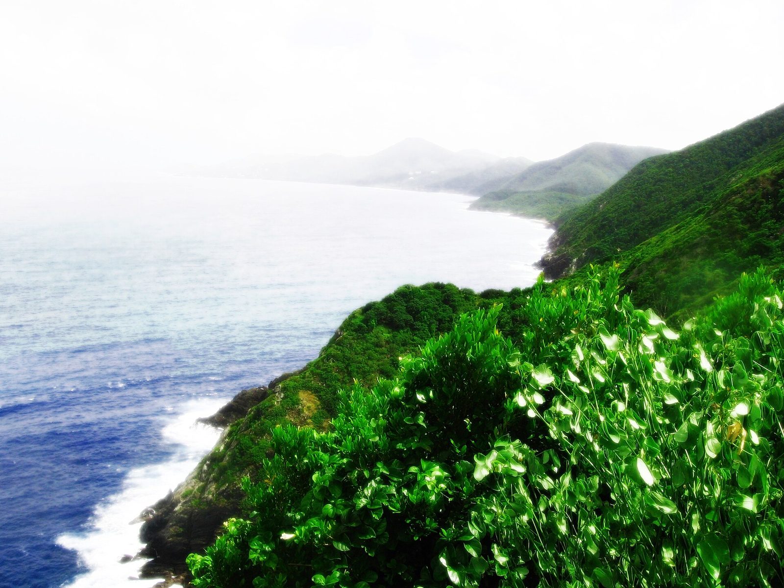 St. Croix's rocky northwest coast, where Monk's Bath is carved into the shoreline