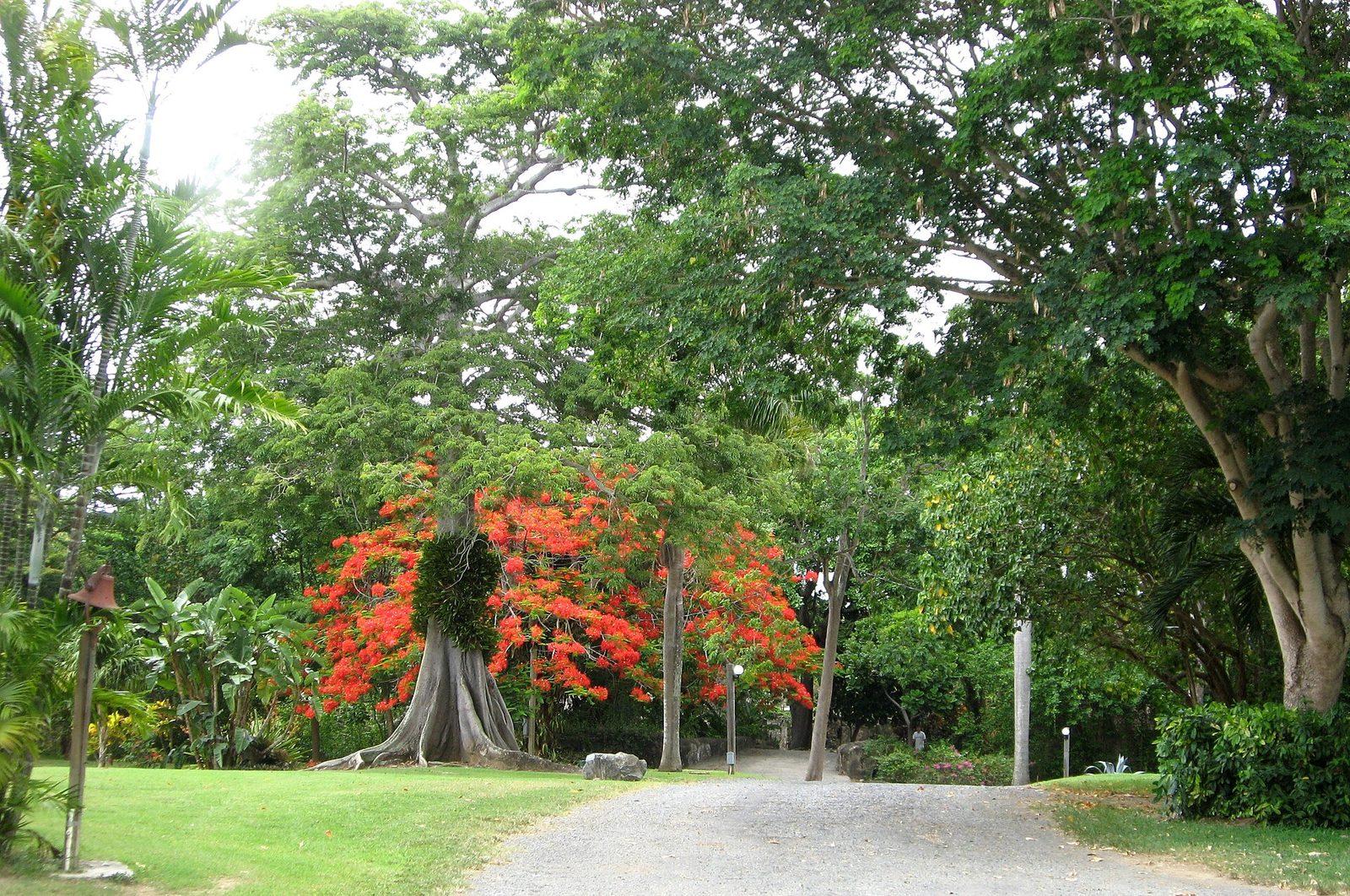2008-07-17 St. George Village Botanical Gardens St. Croix USVI