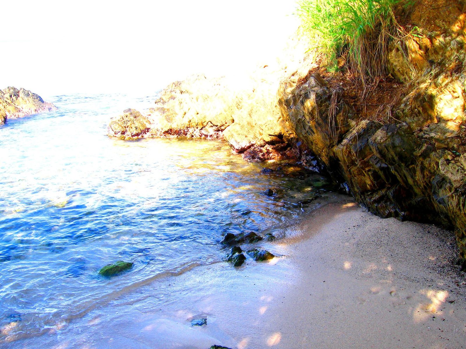 Cove